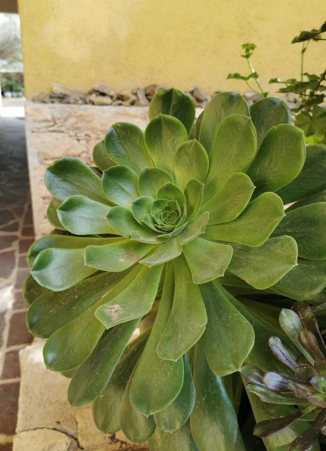 Posada Casa Del Minero Pozos  Esterno foto